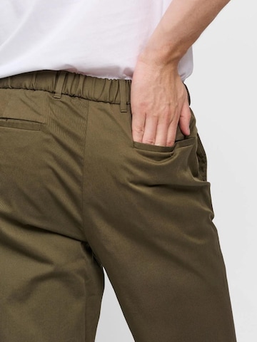 SANVT Regular Chinohose 'The Relaxed Chino'‌‌‌ in Grün