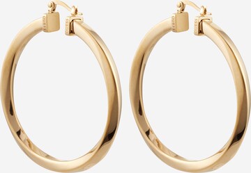 GUESS Earrings in Gold