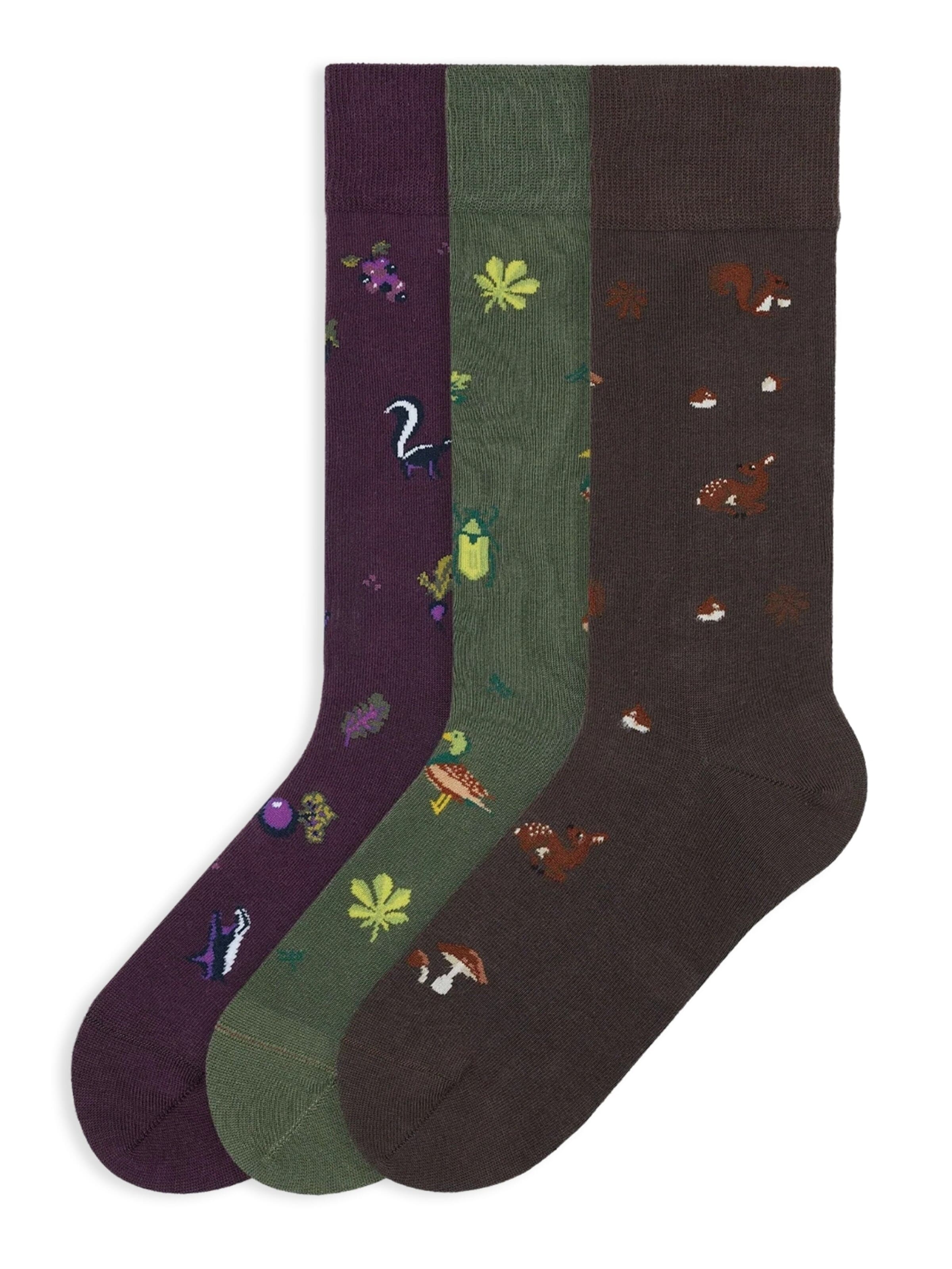 Von Jungfeld Socks 'Icons Socken-Set' in Green: front