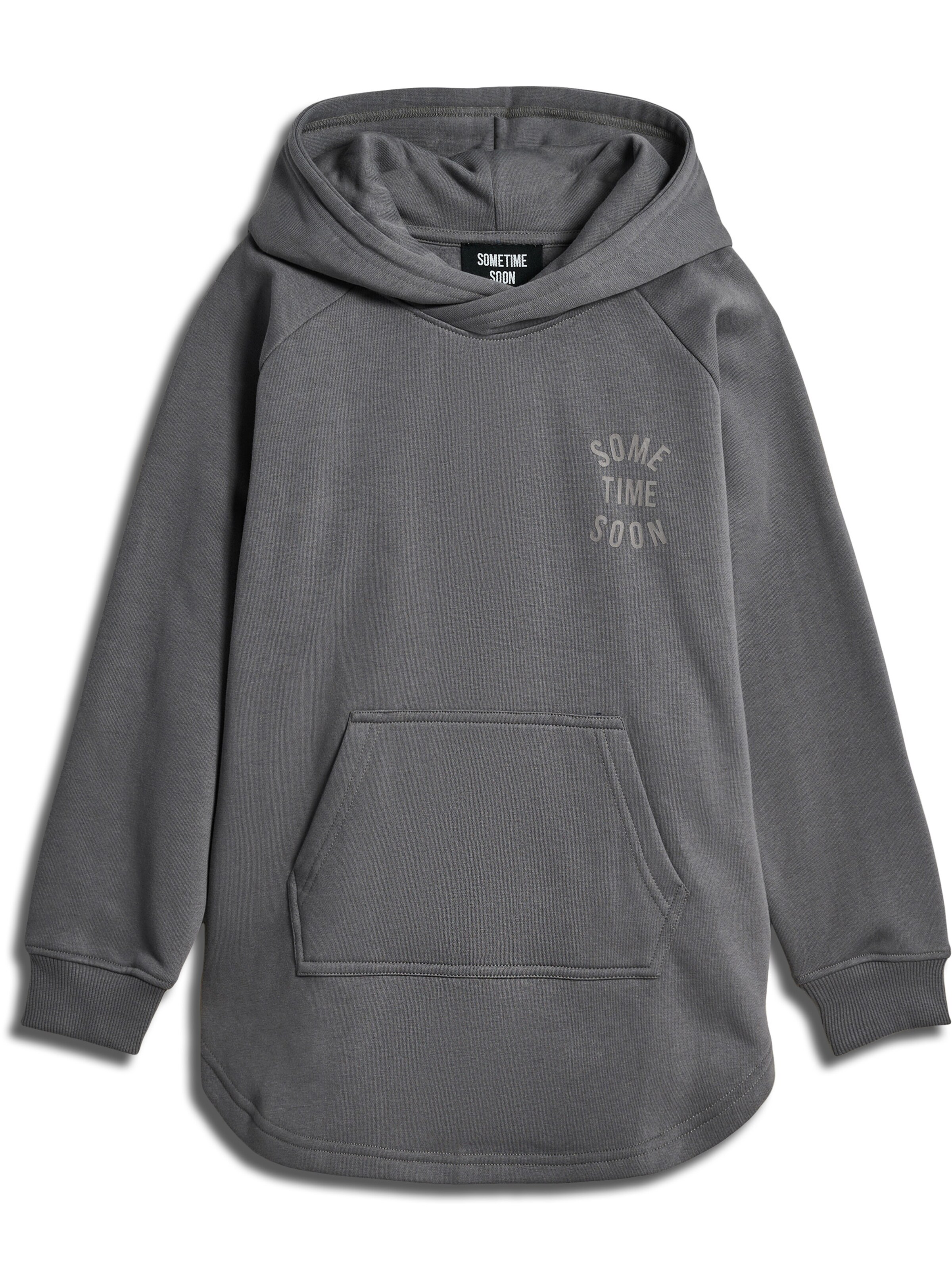 SOMETIME SOON Sweatshirt i grå: forside