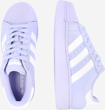 Baskets basses 'Superstar XLG' ADIDAS ORIGINALS en violet