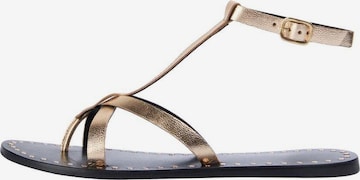 Sandale de la Scalpers pe auriu: față