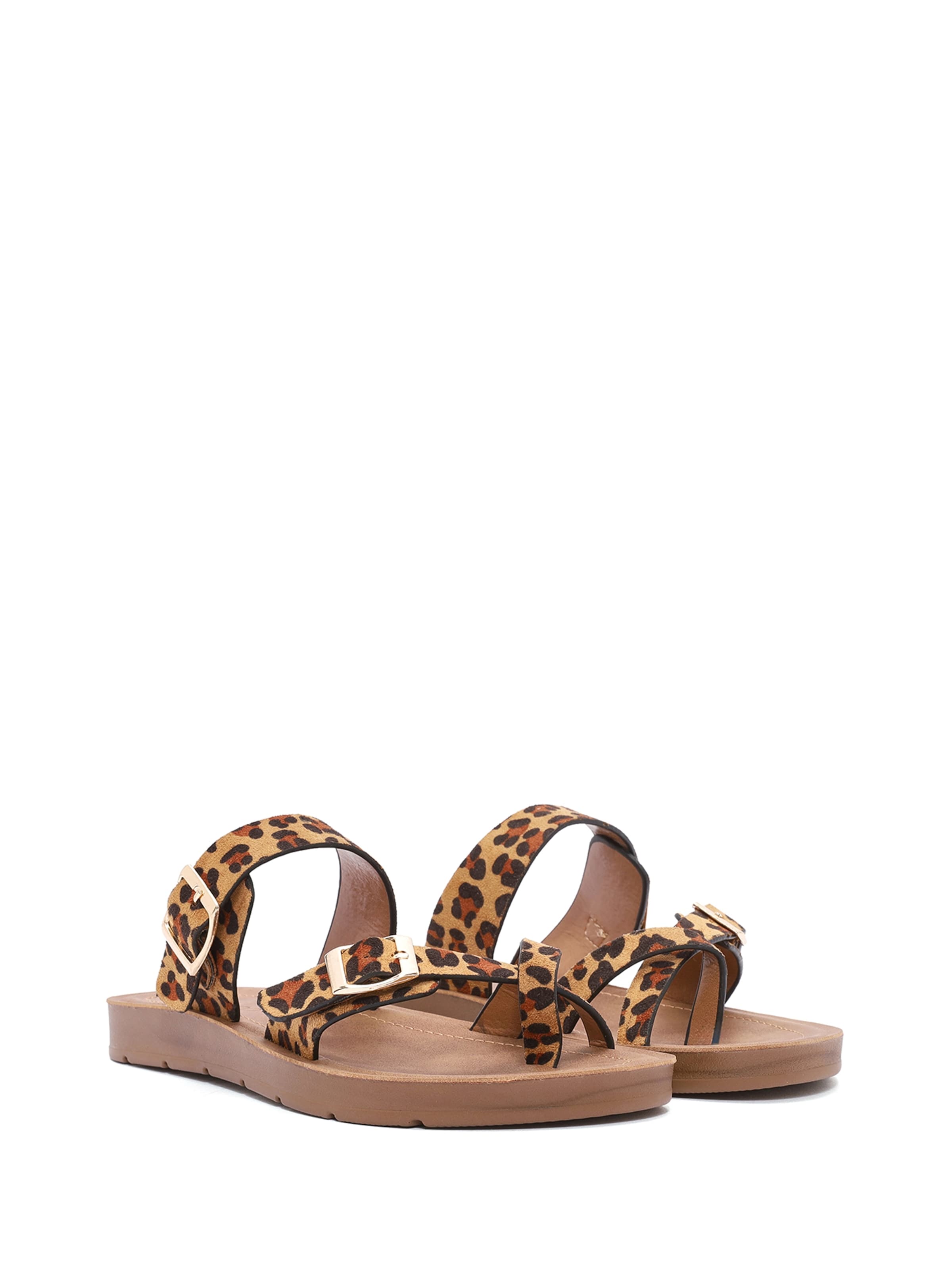Derimod Mules in Brown