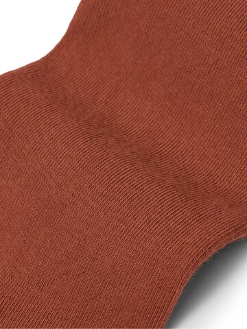 Von Jungfeld Socks 'Herbstfarben' in Brown