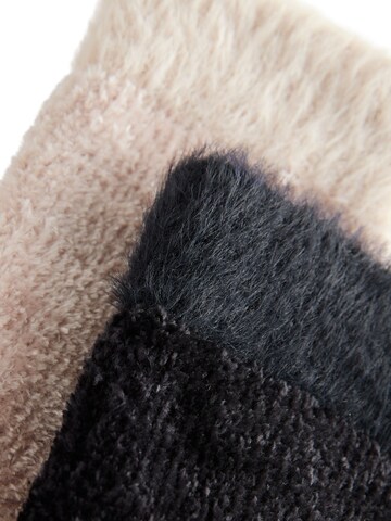 Next Socks in Beige