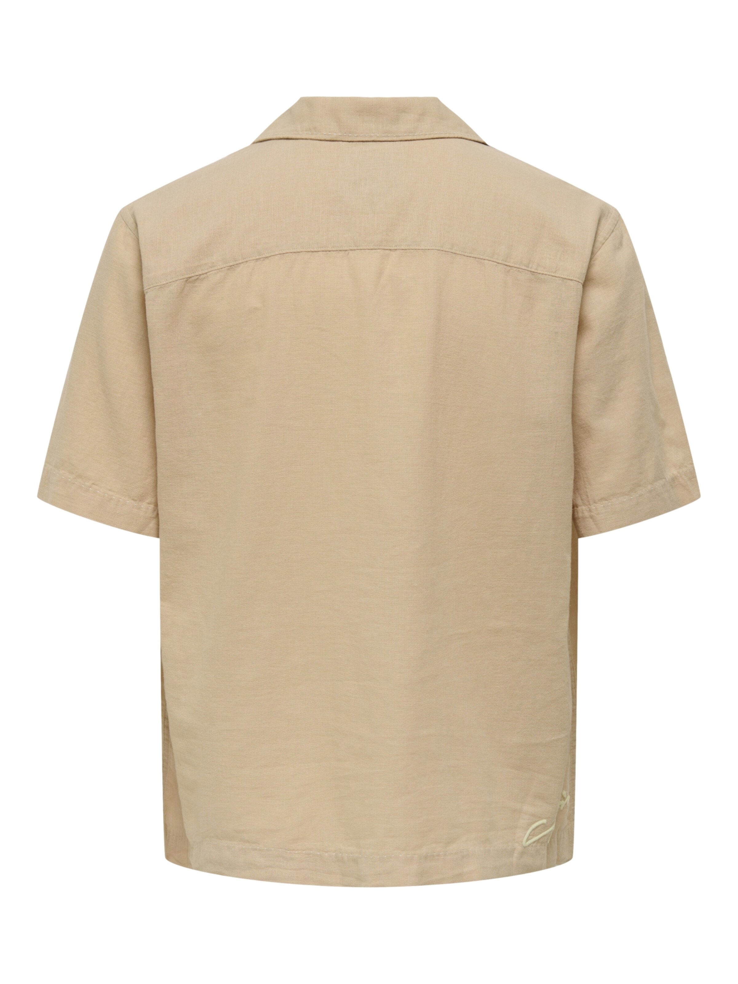 Only & Sons Regular fit Button Up Shirt 'Caidenly' in Brown