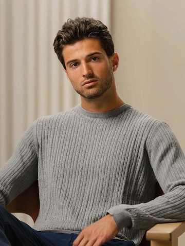TEESHOPPEN Trui ' Pullover ' in Grijs