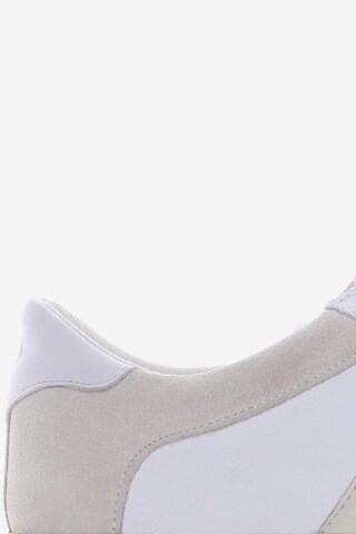 GANT Sneakers & Trainers in 39 in White