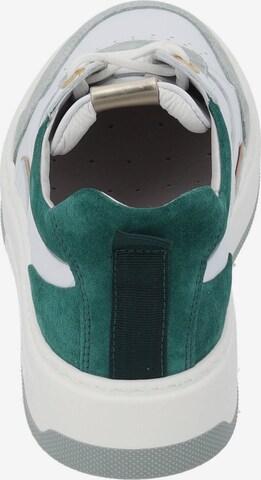 Nero Giardini Sneakers laag 'E409992D' in Wit