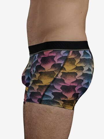 ADIDAS SPORTSWEAR Athletic Underwear ' Aeroready ' in Mixed colors