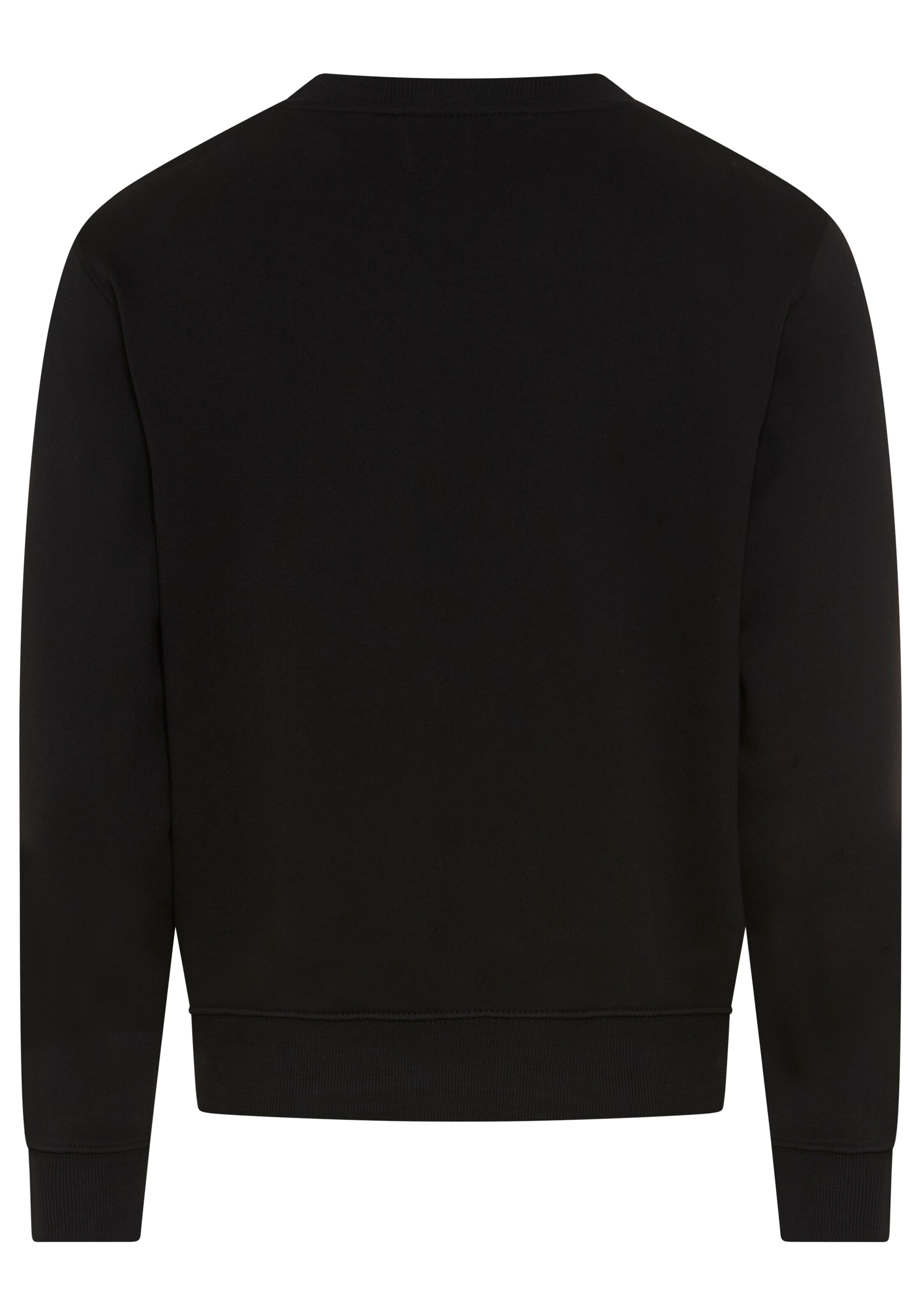 REPLAY Sweatshirt in Schwarz