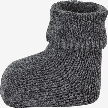 STERNTALER Socken in Grau