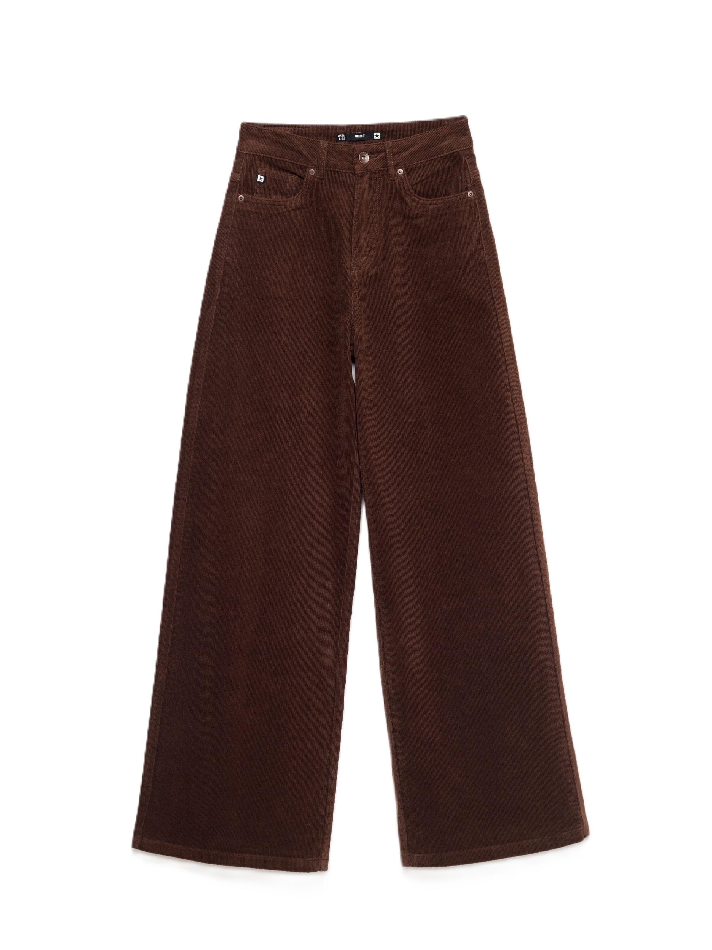 Wide leg Pantaloni ' CELINESI ' di BIG STAR in marrone: frontale