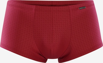 Olaf Benz Boxershorts ' RED2260 Minipants ' in Rood: voorkant