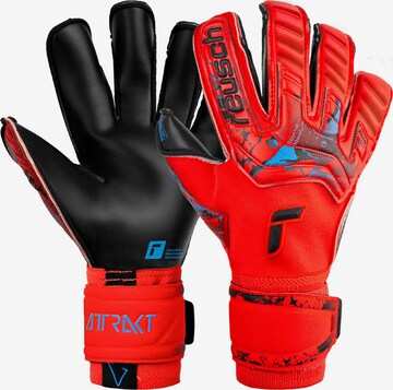 REUSCH Sporthandschuhe 'Attrakt Gold X Evolution Cut' in Rot: predná strana