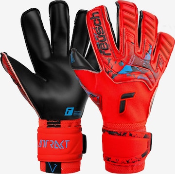 REUSCH Athletic Gloves 'Attrakt Gold X Evolution Cut' in Red: front