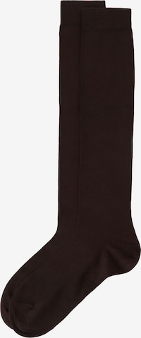 CALZEDONIA Socks in Brown: front