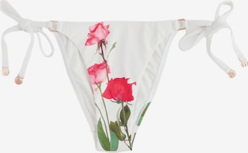 B by Ted BakerBikini donji dio - bijela boja: prednji dio