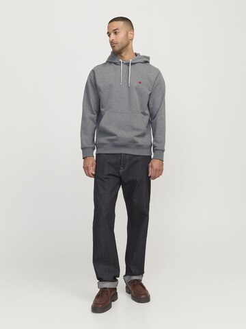Felpa 'RDDKALID' di R.D.D. ROYAL DENIM DIVISION in grigio