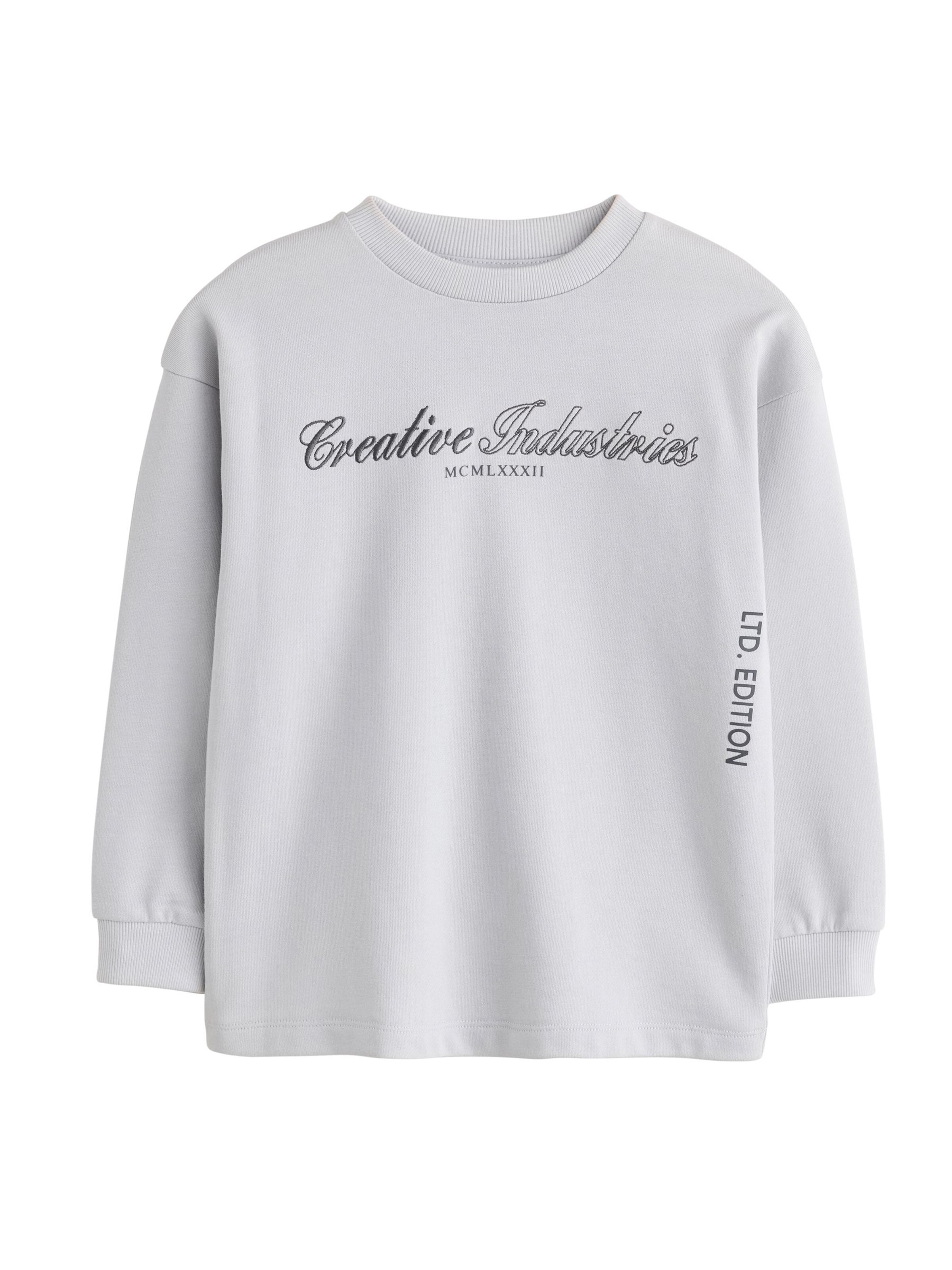 Next Sweatshirt in Grijs: voorkant