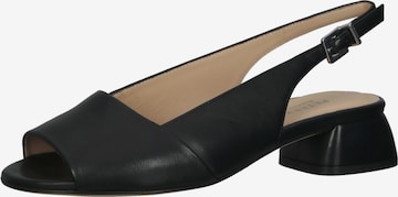 PETER KAISER Strap Sandals in Black: front