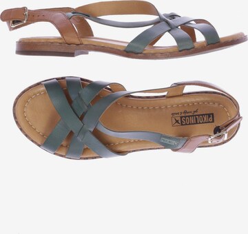 PIKOLINOS Sandals & High-Heeled Sandals in 41 in Green: front