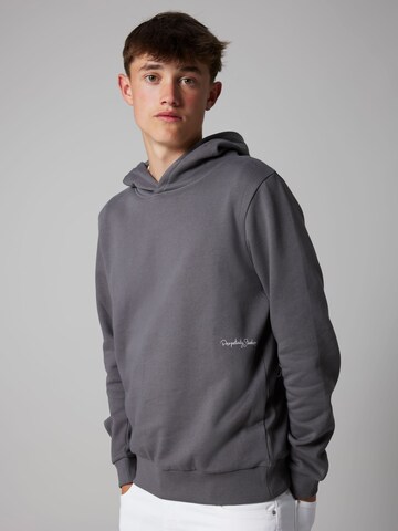 Felpa di LMTD in grigio