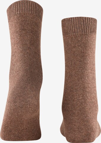 FALKE Socks in Brown