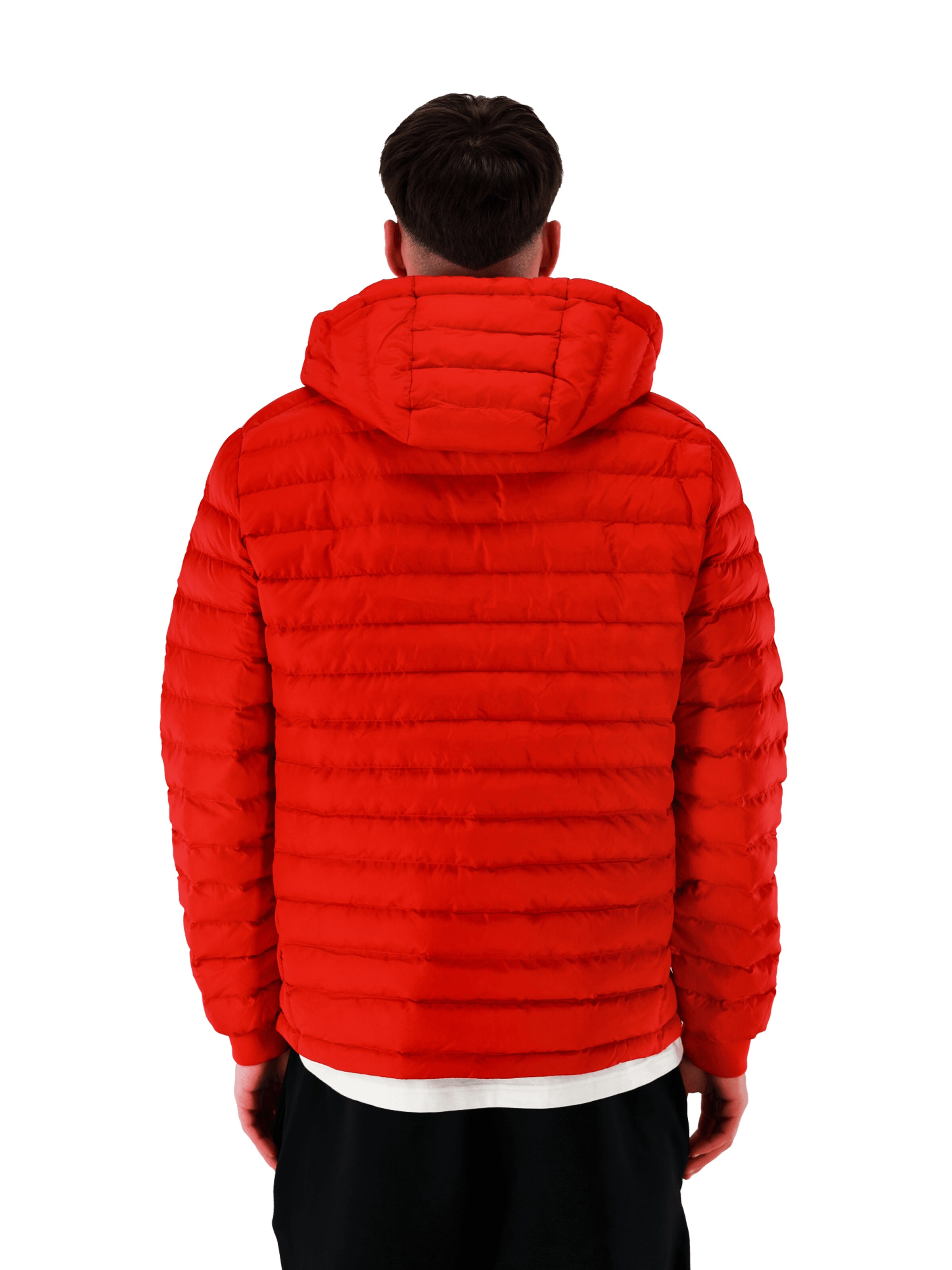 FC BAYERN MÜNCHEN Between-Season Jacket in Red