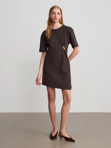 Dilvin Dress in Brown