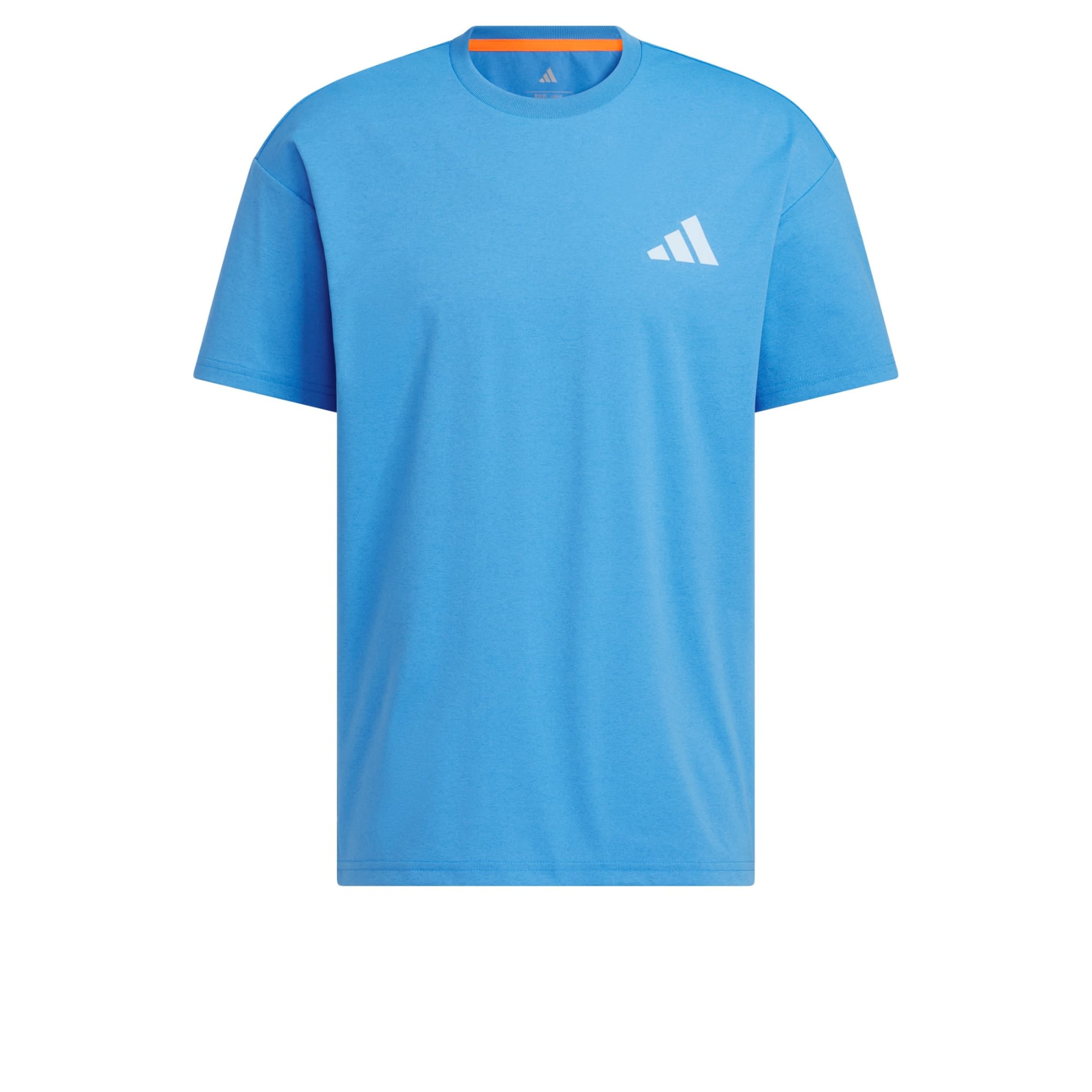 ADIDAS TERREX Performance shirt 'Xploric' in Blue: front