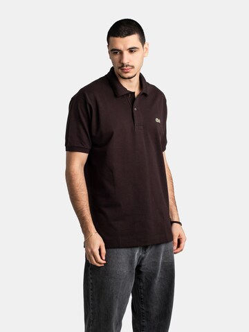 LACOSTE Shirt 'Classic Fit' in Brown