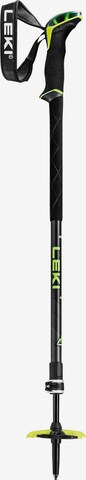 LEKI Stick 'Guide 2' in Mixed colors