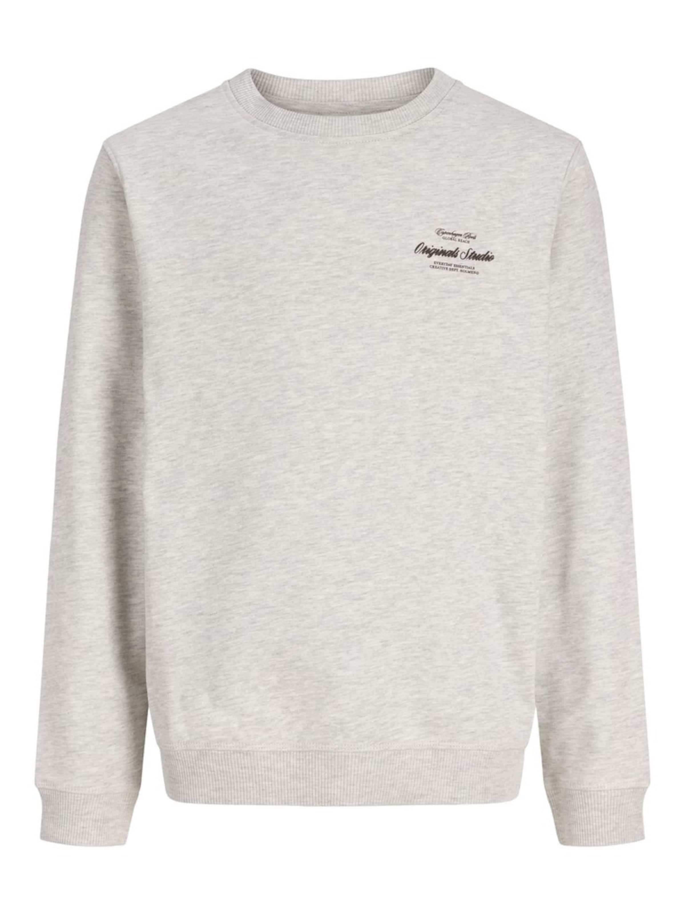 Jack & Jones Junior - Sudadera 'JORNORREBRO' en gris: frente
