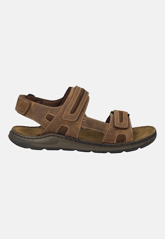 JOSEF SEIBEL Sandal 'MAVERICK 23' in Brown