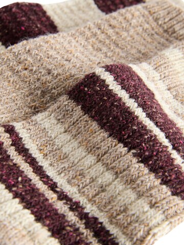 Next Socks in Beige