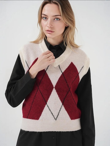 Pullover di Bigdart in rosso: frontale