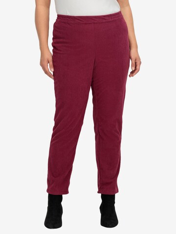 SHEEGO Regular Pants in Red: front