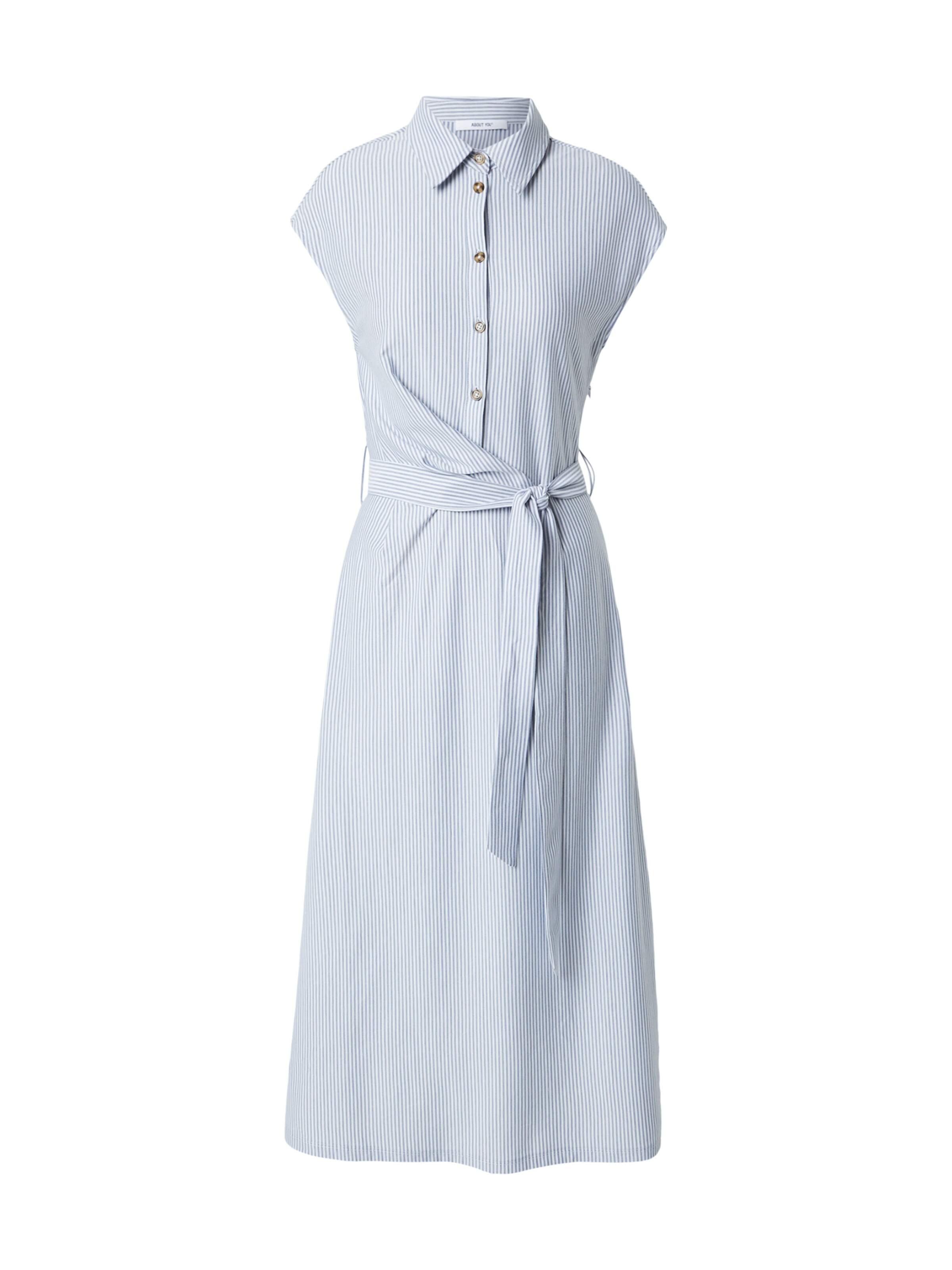 ABOUT YOU Blousejurk 'Janneke' in de kleur Blauw / Wit, Productweergave