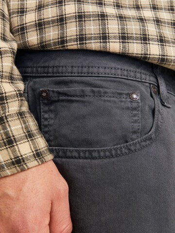 Jack & Jones Plus Regularen Kavbojke 'JPSTALEX JJORIGINAL' | siva barva