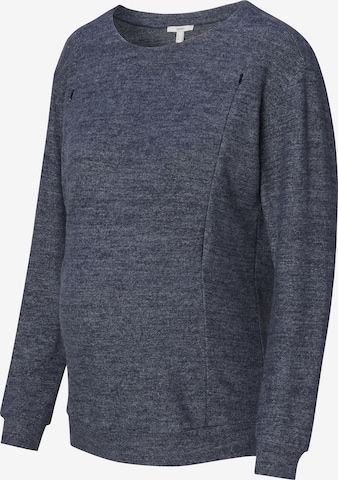 Esprit Maternity Sweatshirt in Blue: front