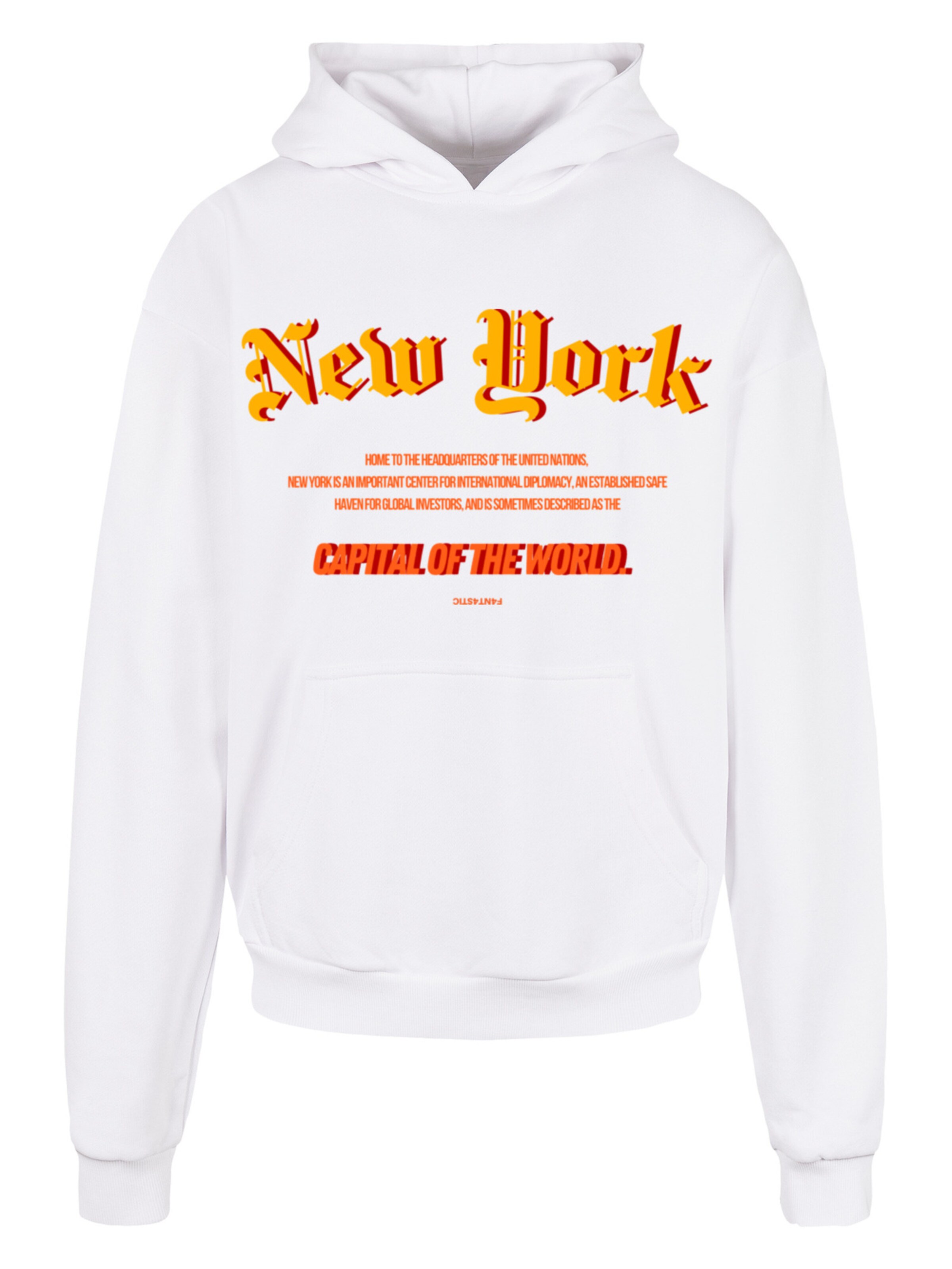 F4NT4STIC Sweatshirt in White: front