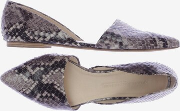Kennel & Schmenger Flats & Loafers in 37,5 in Grey: front