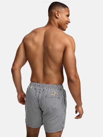 Bondi Joe - Bermudas ' Campbell ' en gris