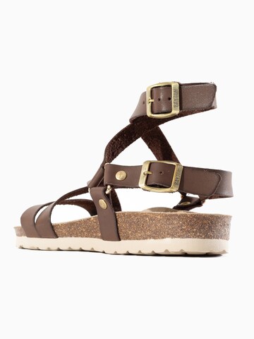 Bayton Sandalen met riem 'Armidale' in Bruin