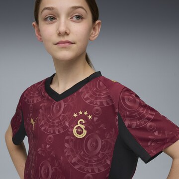 PUMA Performance Shirt 'Galatasaray SK 25/26' in Red