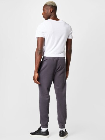 Pegador Tapered Trousers in Grey