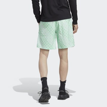 Regular Pantalon ADIDAS ORIGINALS en vert