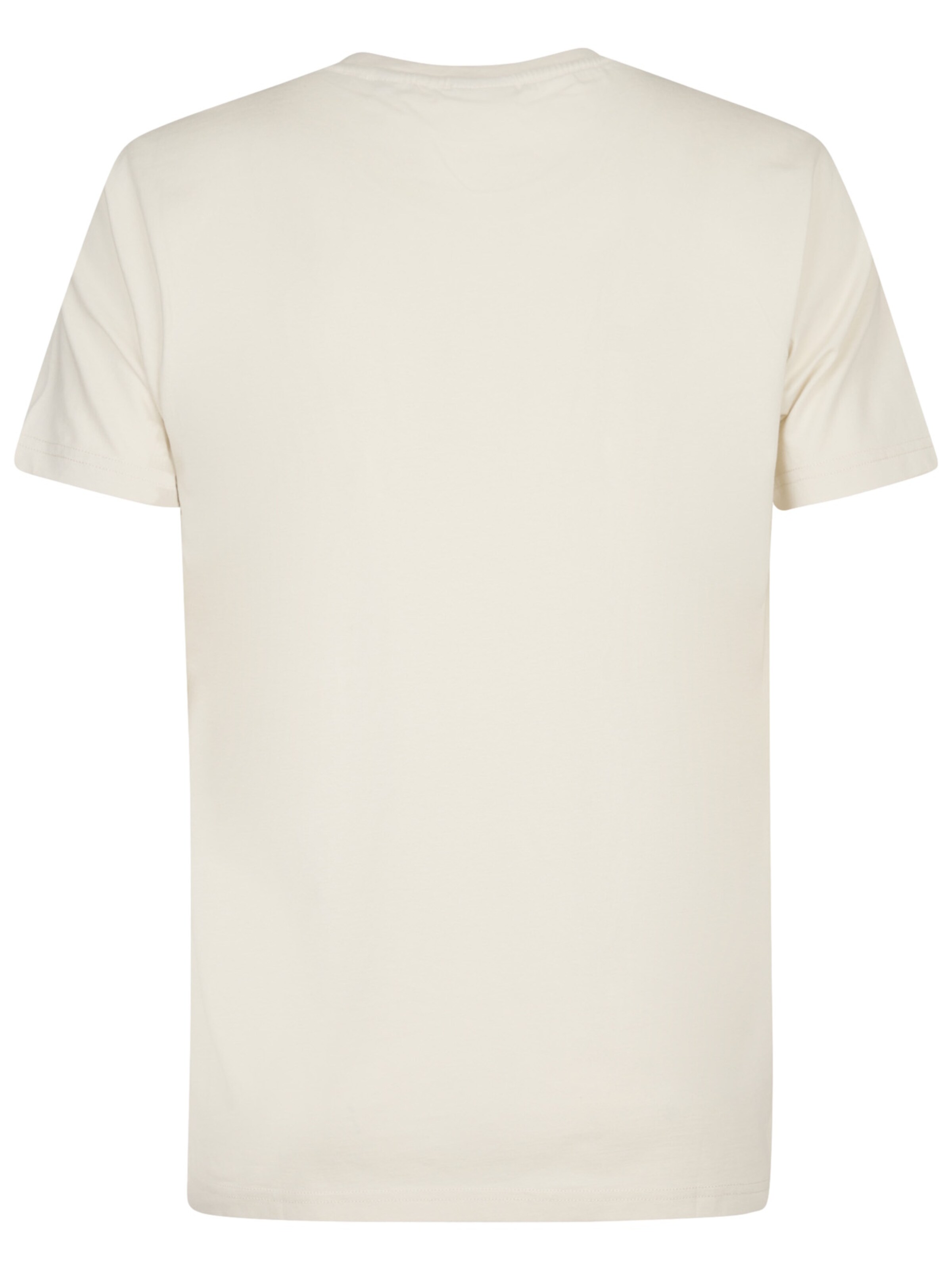 Petrol Industries Shirt in Grijs