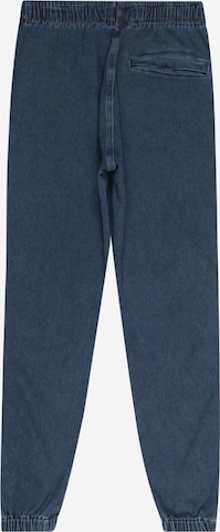 DIESEL Regular Broek in Blauw